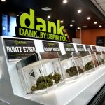 A Beginner’s Guide to Cannabis: Types, Effects, and What You Need to Know