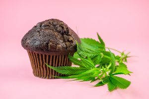 Read more about the article Edible Dosing Guide: A Comprehensive Guide to Safe and Effective Consumption