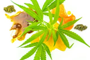 Read more about the article A Comprehensive Guide to Cannabis Concentrates