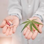 Cannabis for Pain Management: What Science Says