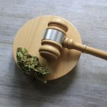 A Complete Guide to Cannabis Laws in New York for 2024