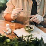 Exploring the History of Cannabis: From Ancient Times to Today