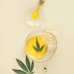 The Cannabis Extraction Process: How Your Favorite Concentrates Are Made