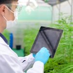 How Technology is Transforming Cannabis Dispensaries