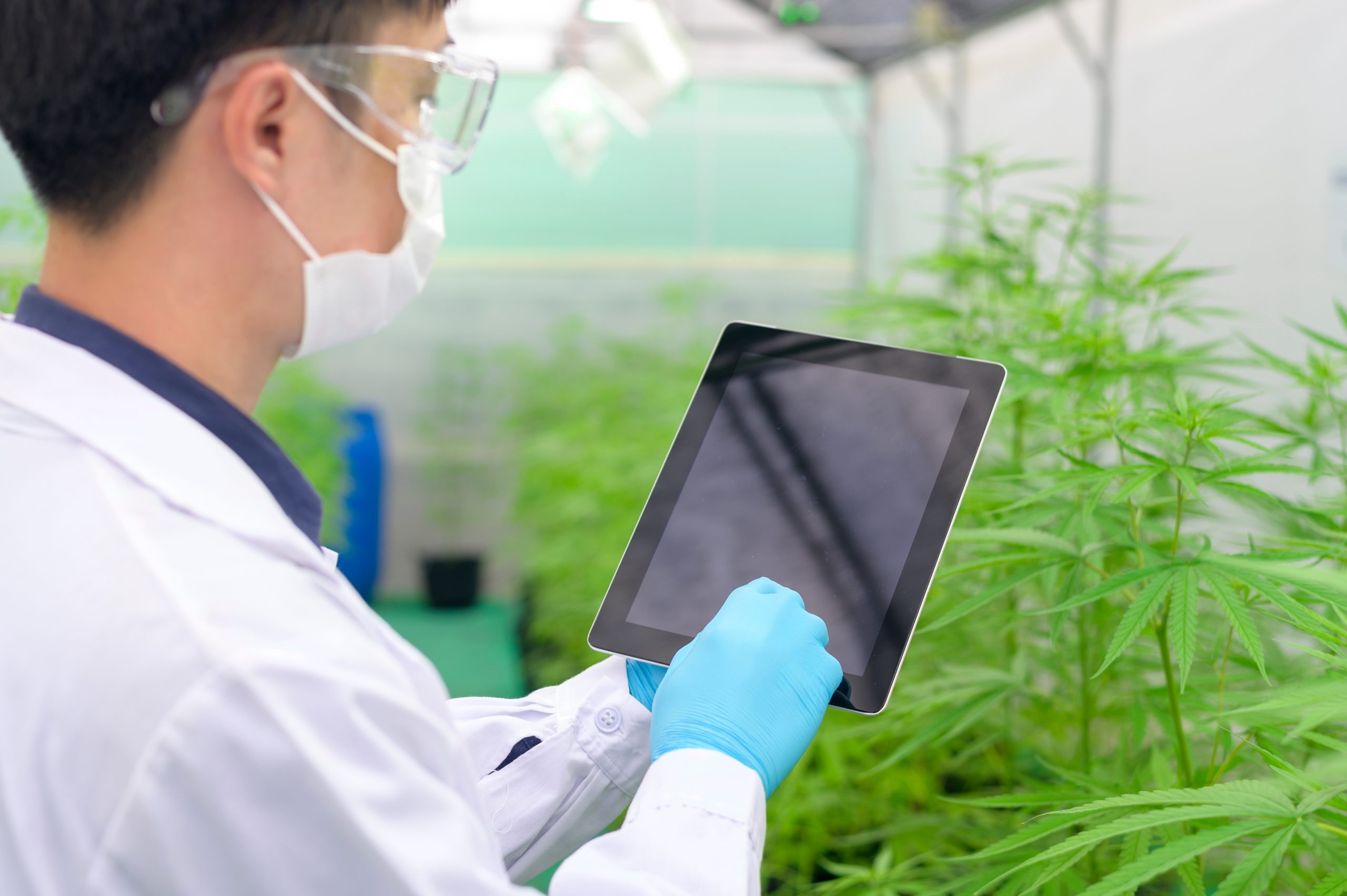 You are currently viewing How Technology is Transforming Cannabis Dispensaries