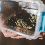 Cannabis Storage 101: The Best Way to Keep Your Flower Fresh