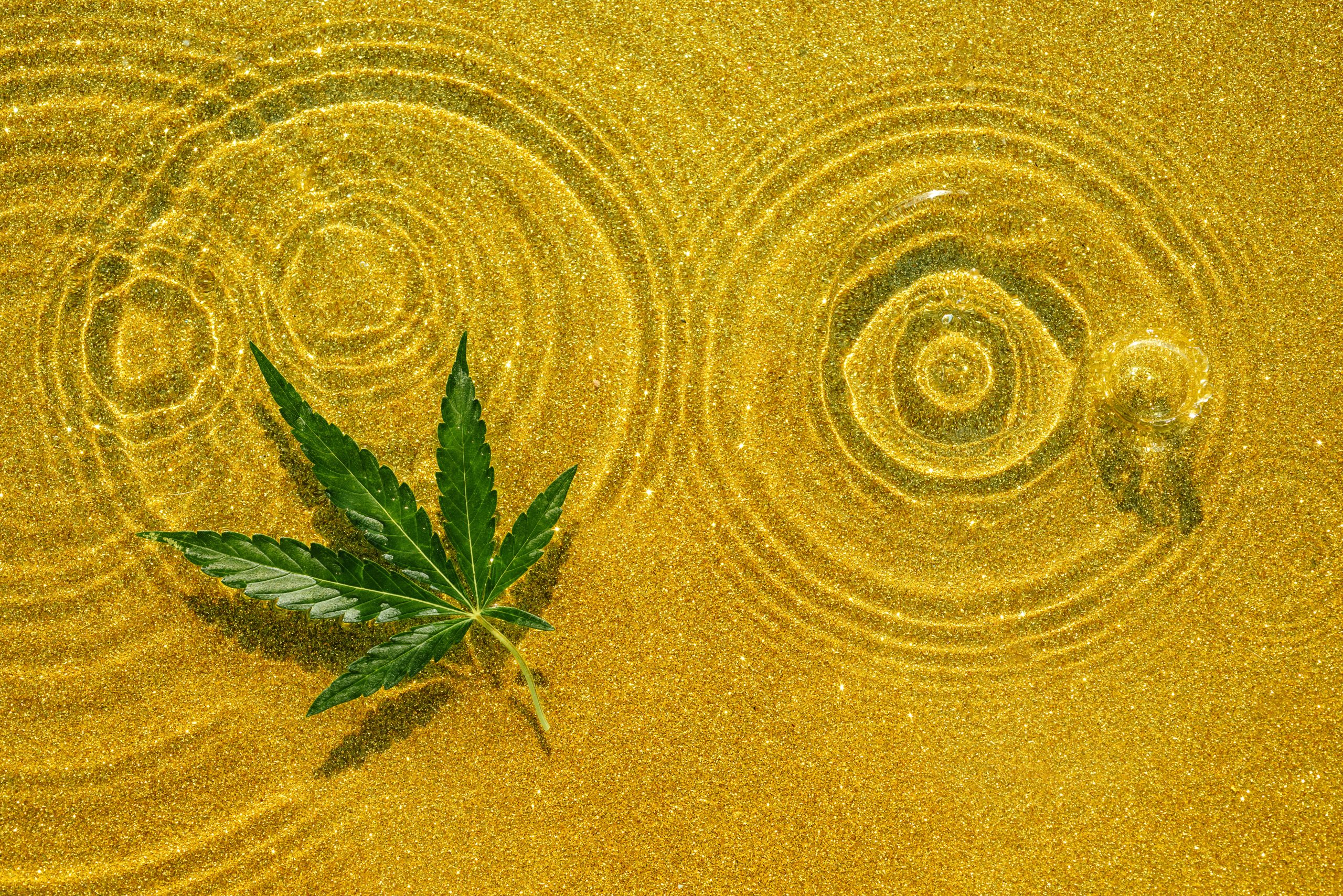 You are currently viewing The Rise of Solventless Concentrates: What You Should Know