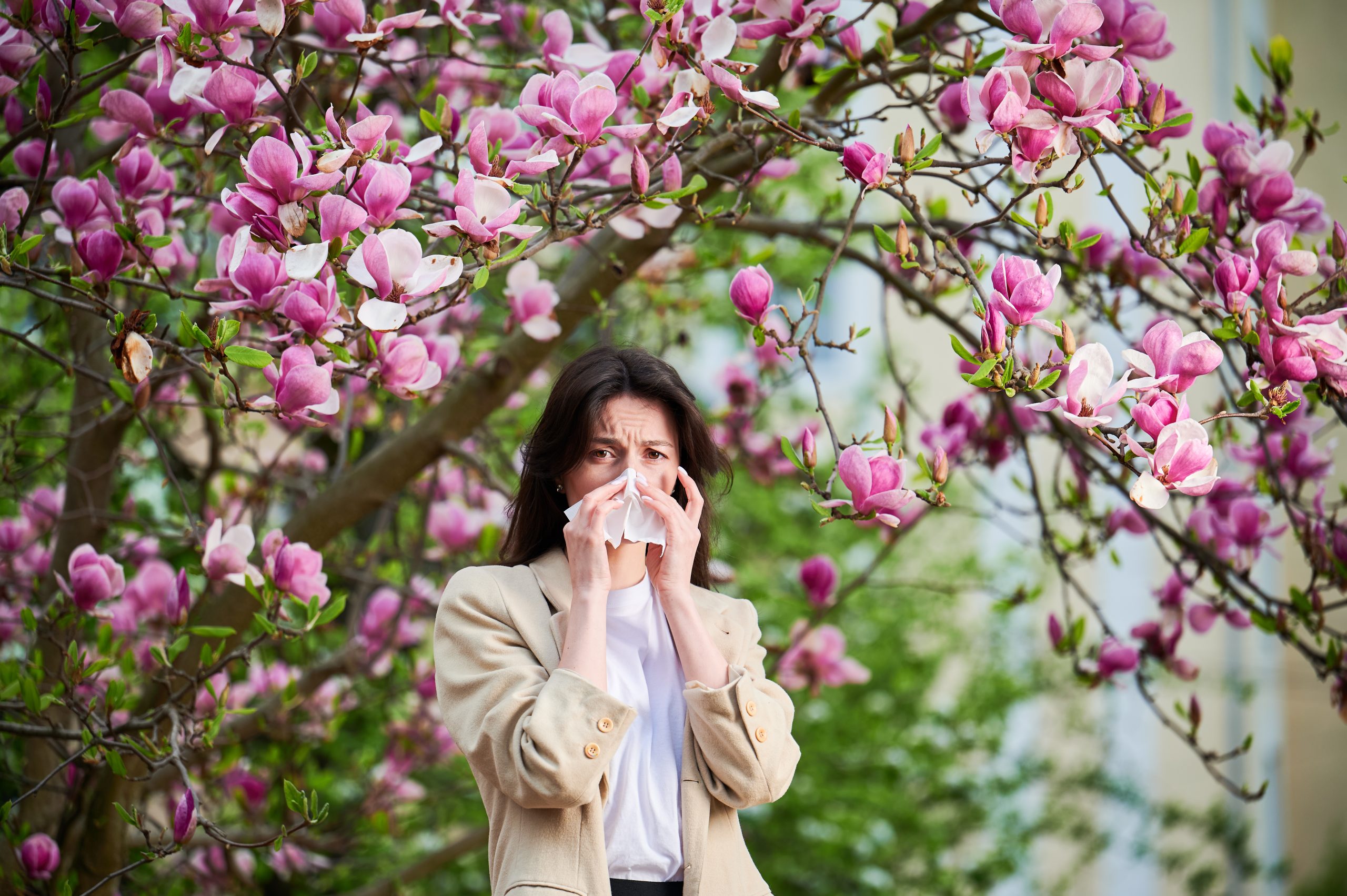 Read more about the article Cannabis and Allergies: What You Should Know