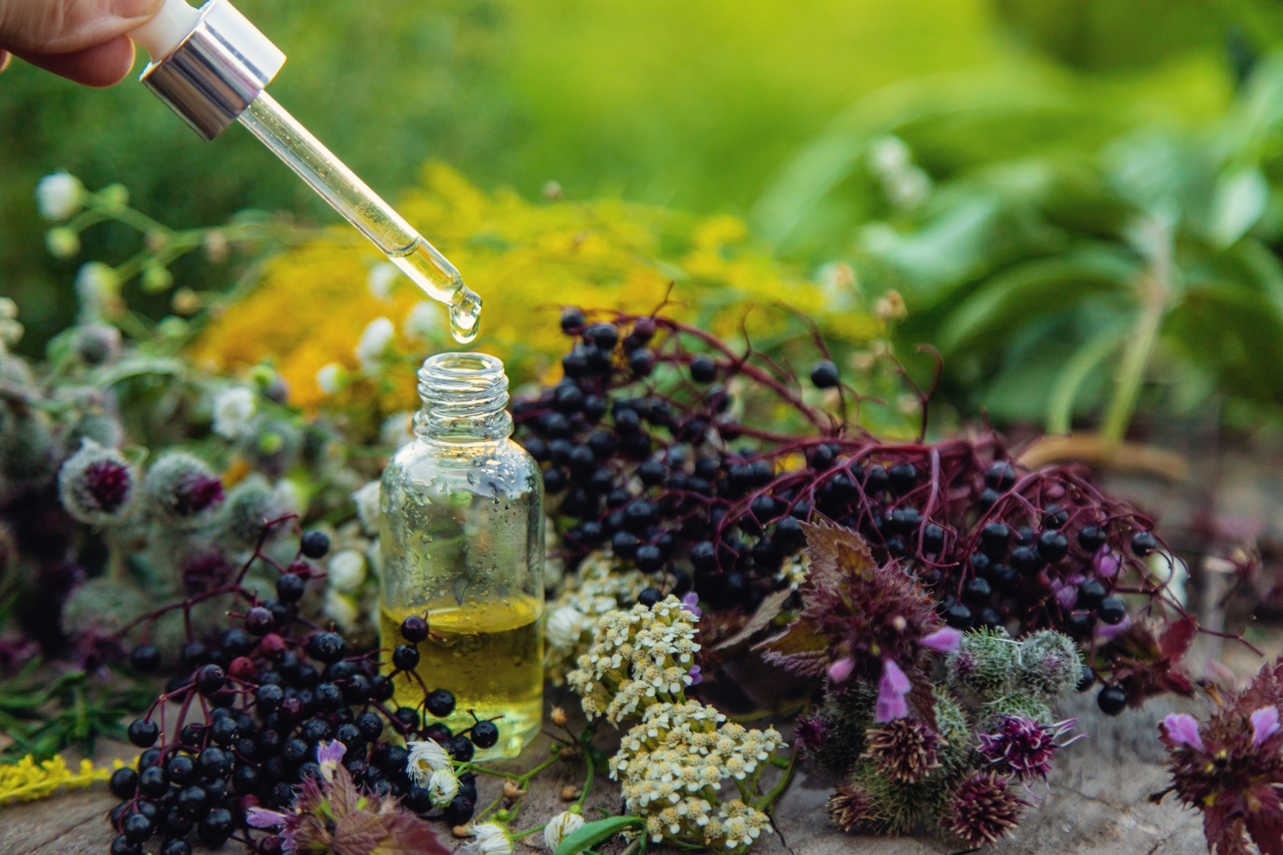 Why Terpene Profiles Matter More Than Indica vs. Sativa