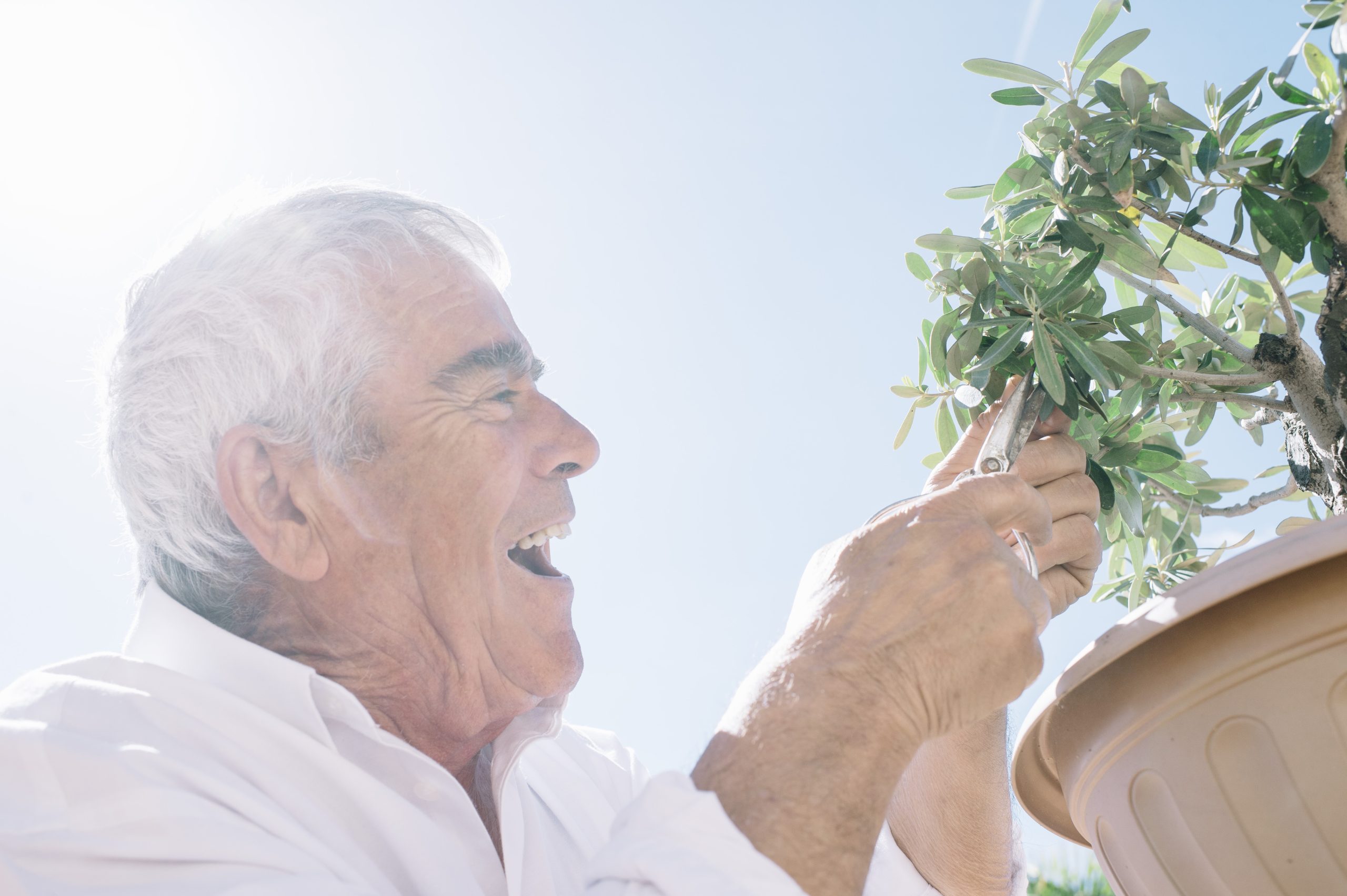 You are currently viewing 🌿 Cannabis and Seniors: How to Talk to Your Parents About It