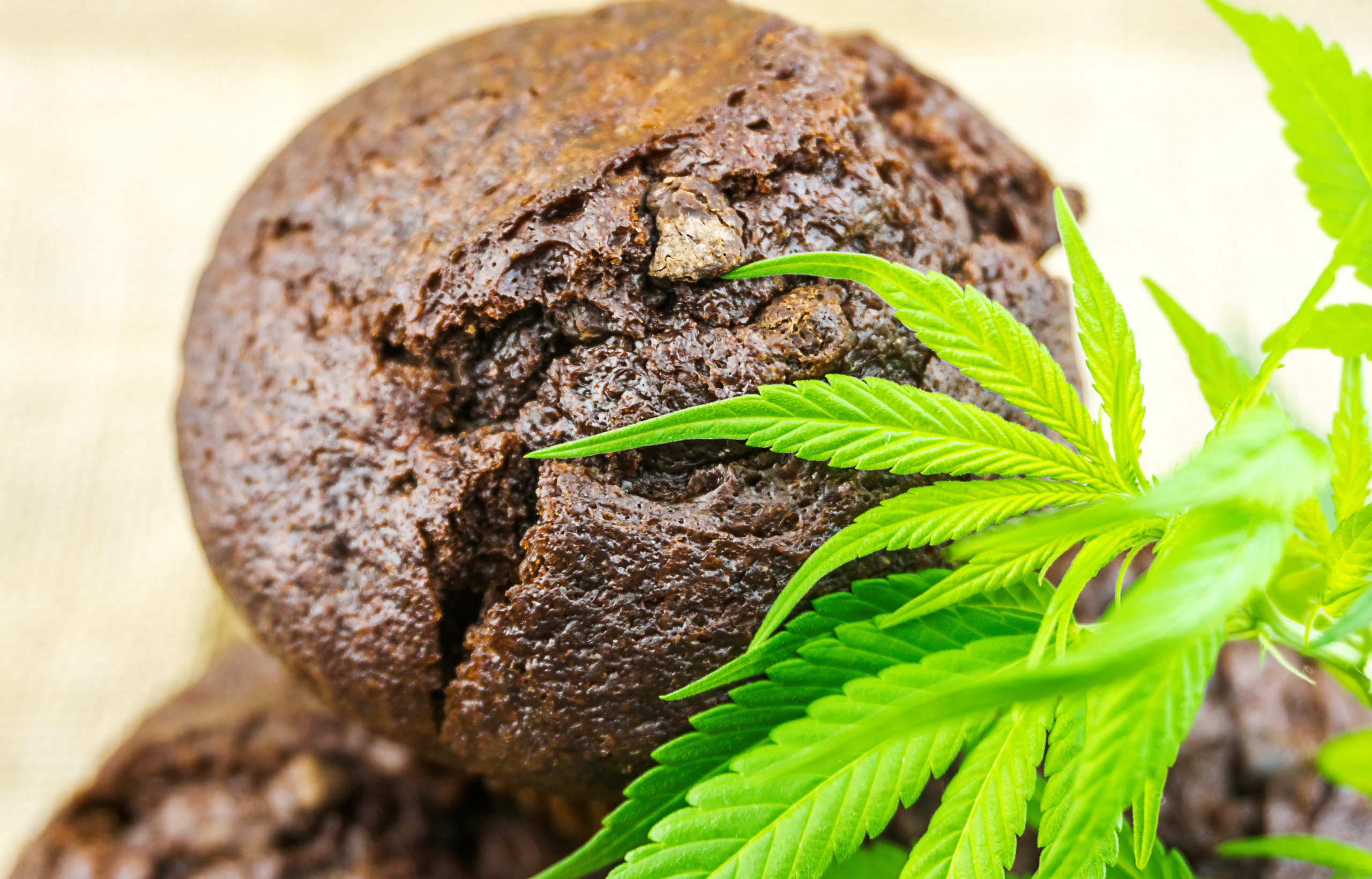 You are currently viewing The Best Edibles in Orange County: A 2025 Guide