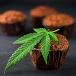 Edibles vs Tinctures: Which Is Right for You?