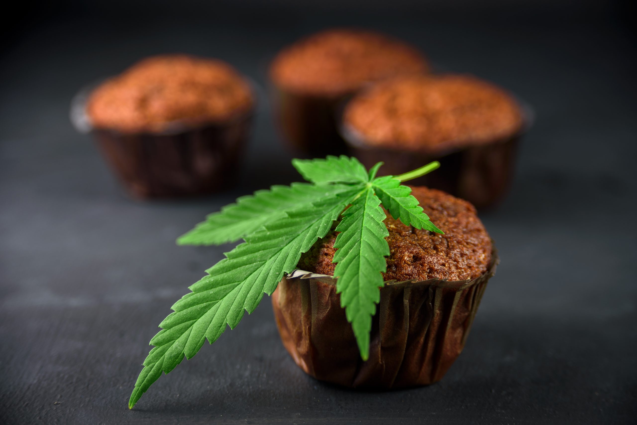 Edibles vs Tinctures: Which Is Right for You?