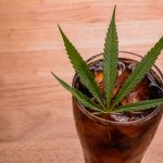 The Future of Cannabis Beverages: What’s Next for 2025