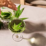 Cannabis Hydration Guide: Understanding Dry Mouth and Comfort