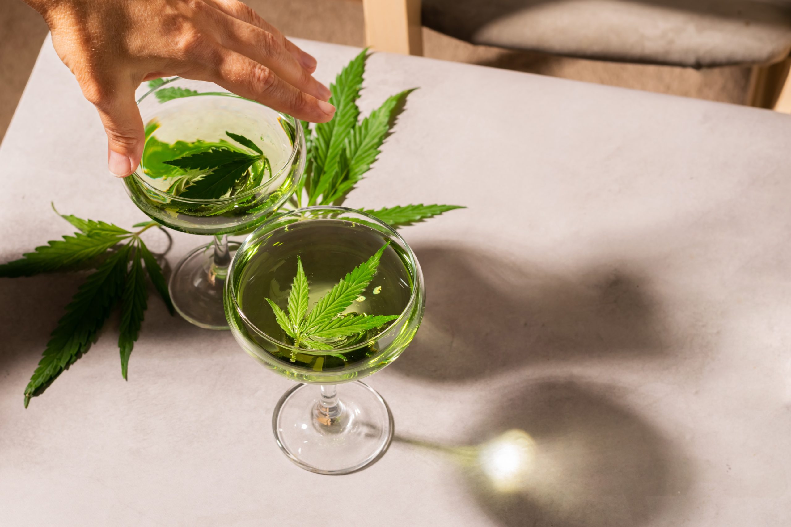 You are currently viewing Cannabis Hydration Guide: Understanding Dry Mouth and Comfort