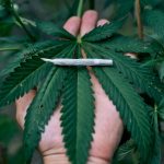 Discreet Cannabis Products Guide: On-the-Go Options That Work