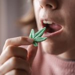 Cannabis and Metabolism: How Your Body Processes THC