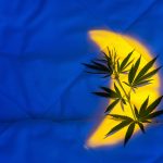 Cannabis and Sleep Cycles: How Timing Affects Rest