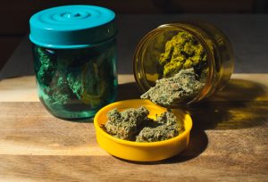 Read more about the article Cannabis Freshness Guide: How to Keep Your Products Potent