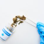 Recreational vs Medical Cannabis: What’s the Difference?