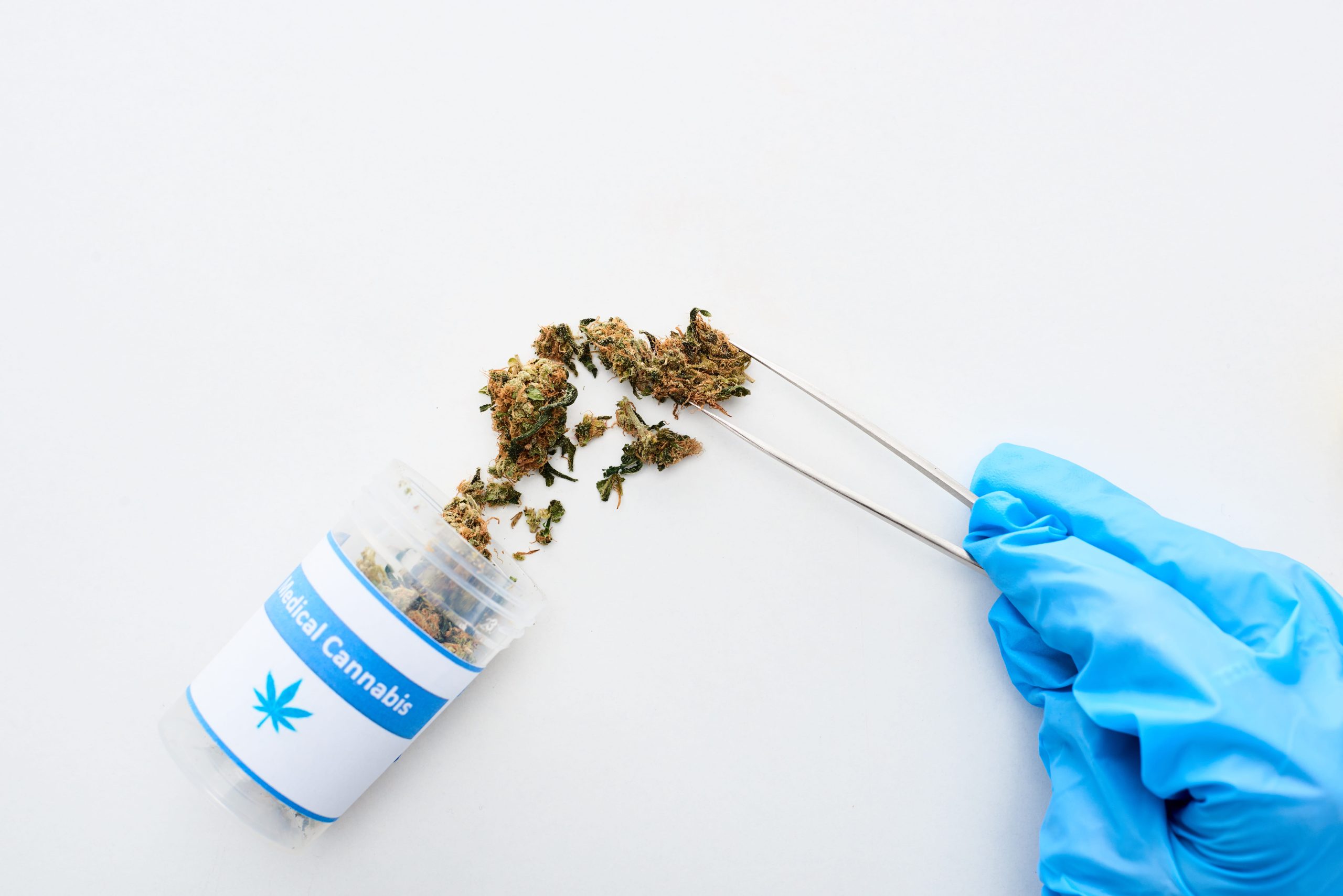 You are currently viewing Recreational vs Medical Cannabis: What’s the Difference?