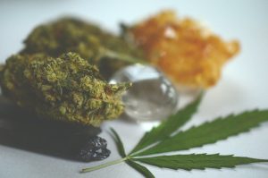 Read more about the article Cannabis Flavor Science: Why Some Strains Taste Fruity