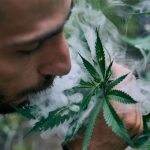Cannabis Tolerance: Why It Changes and How to Reset It