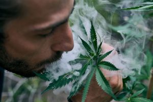 Read more about the article Cannabis Tolerance: Why It Changes and How to Reset It