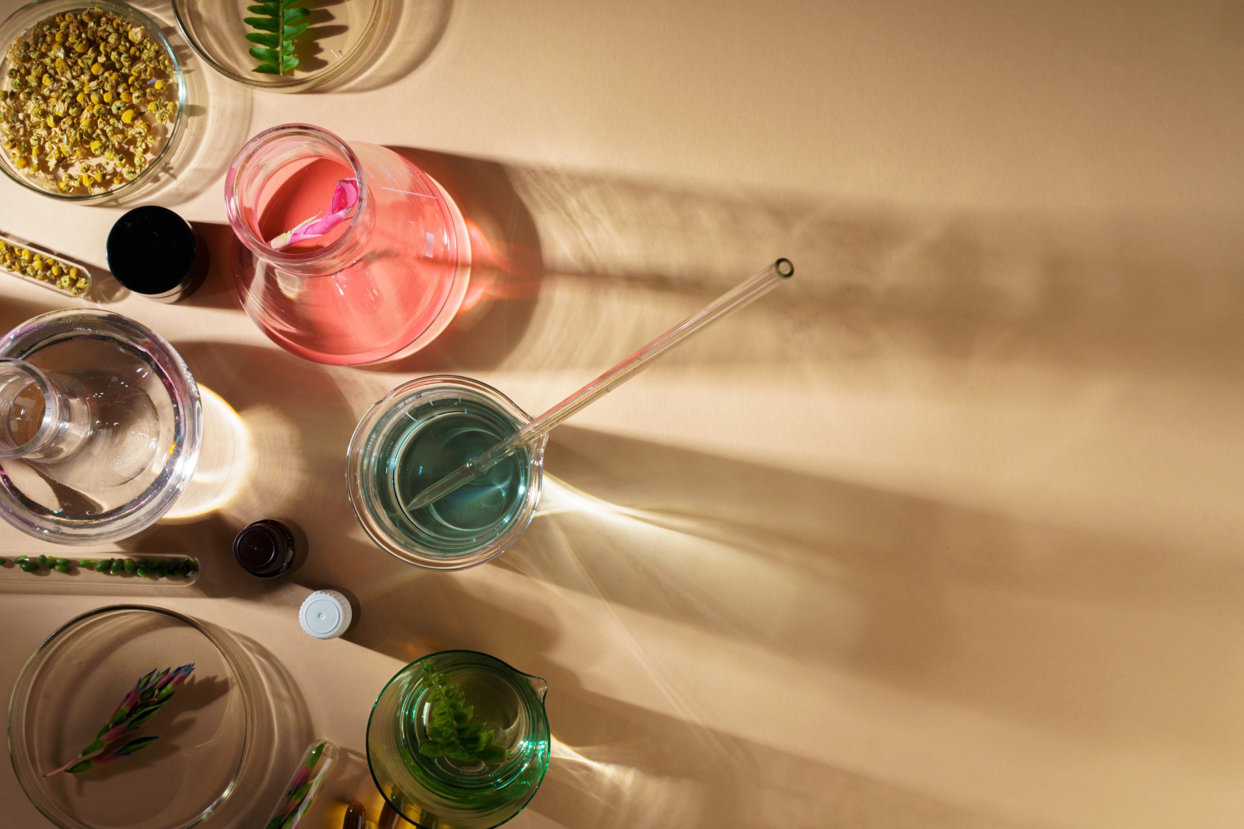 Cannabis Terpene Profiles: Why Aroma Shapes the Experience