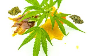 Read more about the article Cannabis Concentrate Types: In Depth Guide