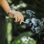 Cannabis Bioavailability: Why Different Methods Feel So Different