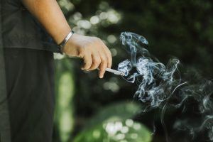 Read more about the article Cannabis Bioavailability: Why Different Methods Feel So Different