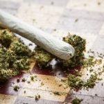 Infused Pre Roll vs Regular Differences