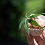 Fast Acting Edibles Effects and Timing