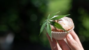 Read more about the article Fast Acting Edibles Effects and Timing