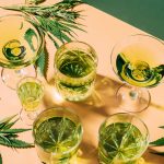 THC Beverages Effects and Onset Guide