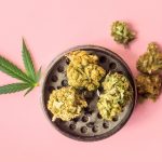 Cannabis Fresh Frozen Explained