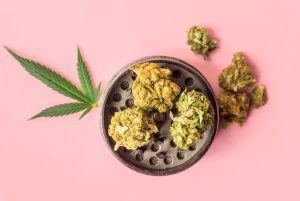 Read more about the article Cannabis Fresh Frozen Explained