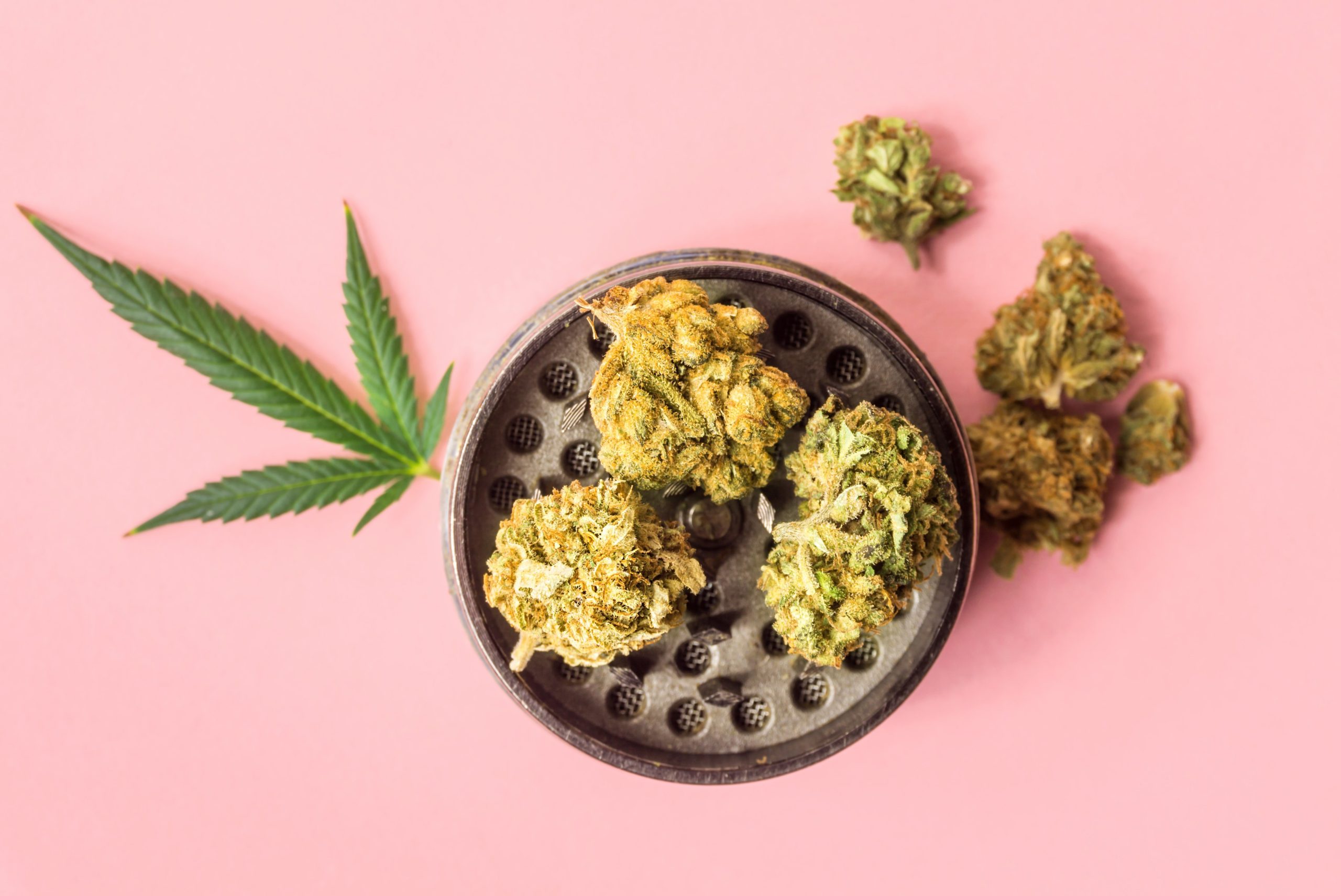 You are currently viewing Cannabis Fresh Frozen Explained