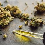 Cannabis Terpene Testing Helps Shoppers Choose Better Products