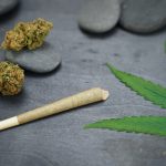 Hash Hole Joints Explained for Premium Cannabis Consumers