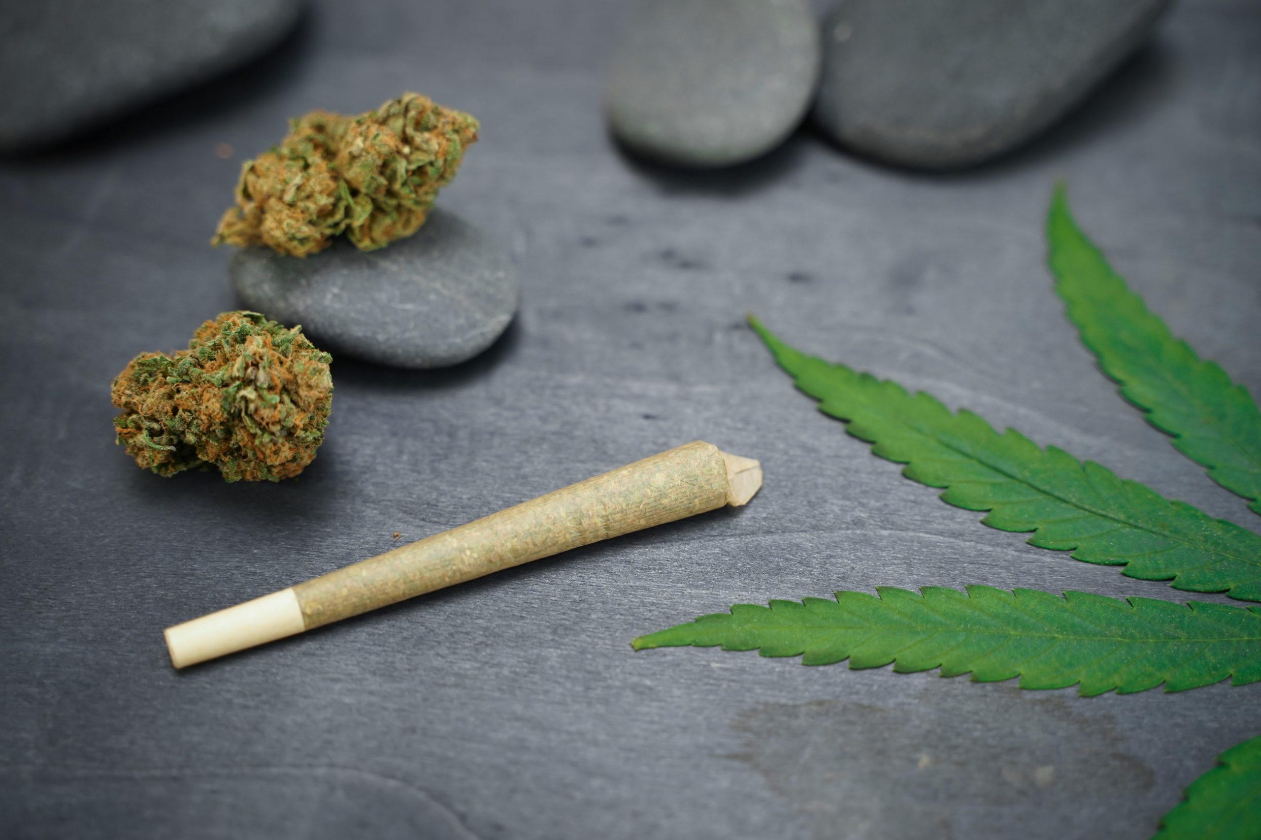 You are currently viewing Hash Hole Joints Explained for Premium Cannabis Consumers