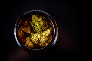 Read more about the article Cannabis Storage: How to Keep Your Flower Fresh Longer