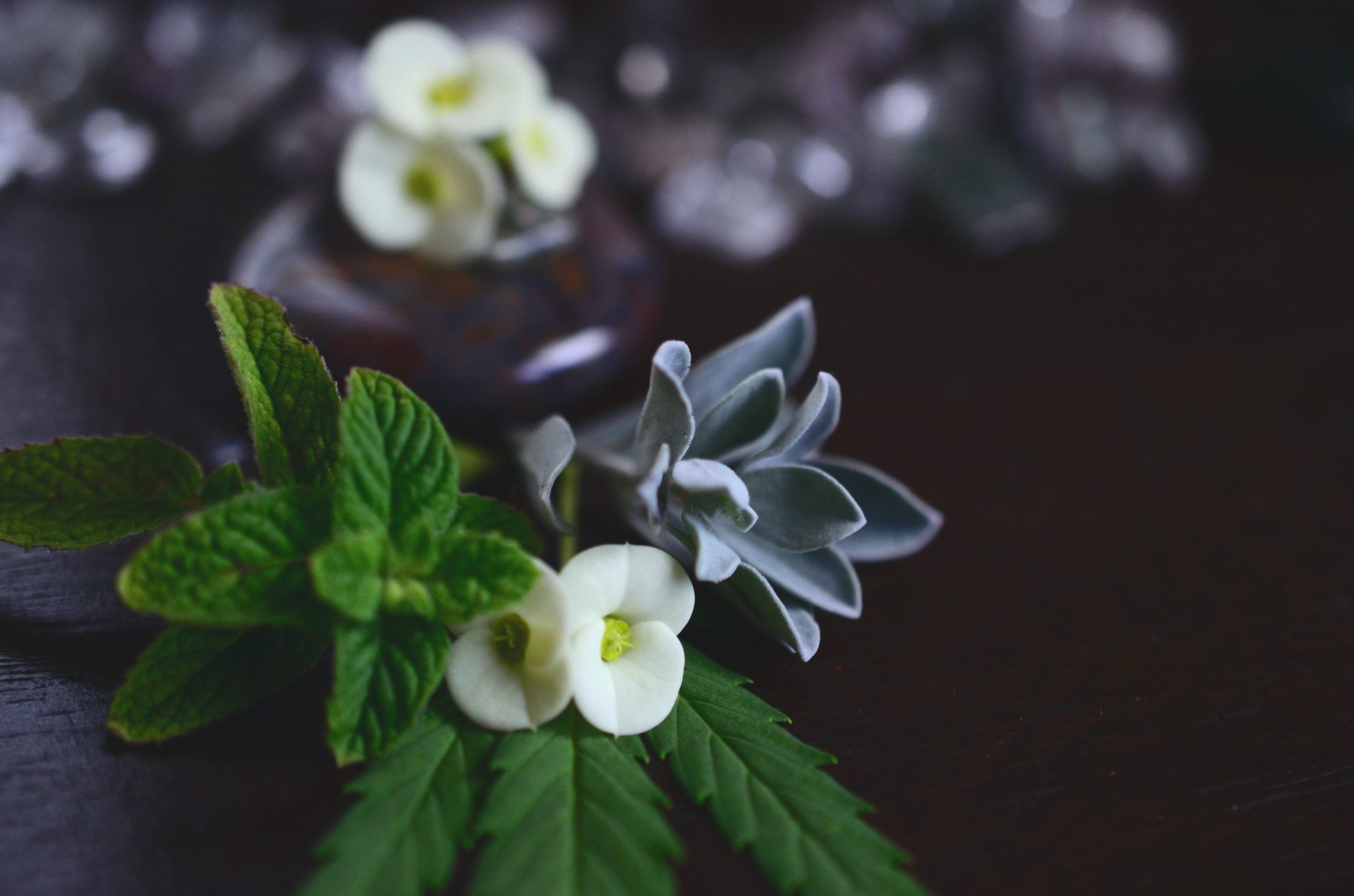 You are currently viewing Cannabis Aroma Profiles and What They Mean